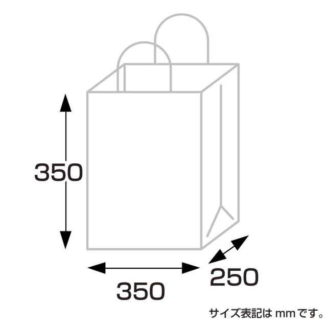 （まとめ買い）ササガワ 手提げ袋 パールバッグ 白 幅350×マチ250×高さ350mm 10枚入 35-5720 〔×3〕 【北海道・沖縄・離島配送不可】_6