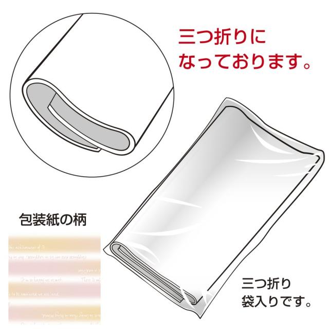 （まとめ買い）ササガワ 包装紙 ストライプ柄 ホライズン ピンク 半才判 50枚入 49-1137 〔×3〕 【北海道・沖縄・離島配送不可】_2