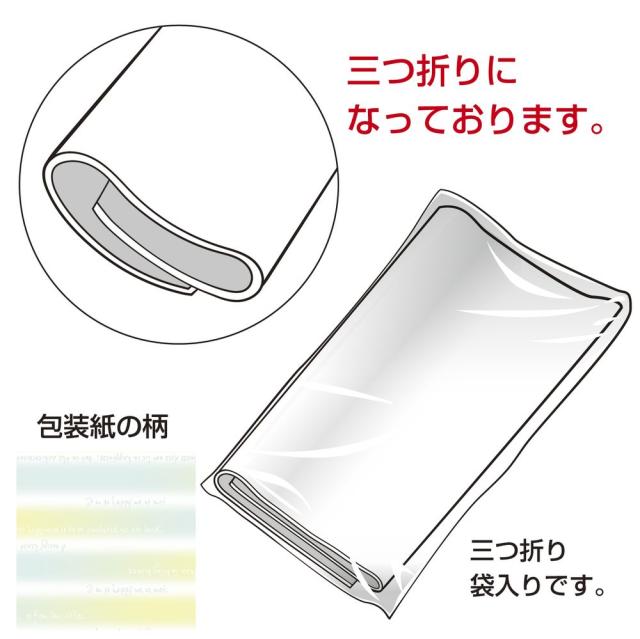 （まとめ買い）ササガワ 包装紙 ストライプ柄 ホライズン ブルー 半才判 50枚入 49-1138 〔×3〕 【北海道・沖縄・離島配送不可】_2