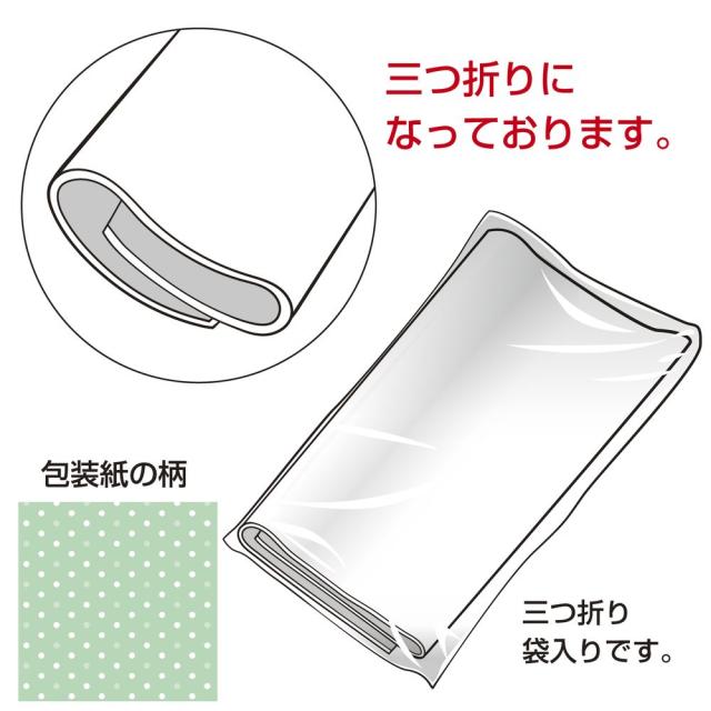 （まとめ買い）ササガワ 包装紙 ドット柄 アリアグリーン 半才判 50枚入 49-1144 〔×3〕 【北海道・沖縄・離島配送不可】の通販は