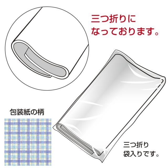 （まとめ買い）ササガワ 包装紙 チェック柄 タータンチェック ブルー 半才判 50枚入 49-1157 〔×3〕 【北海道・沖縄・離島配送不可】_2