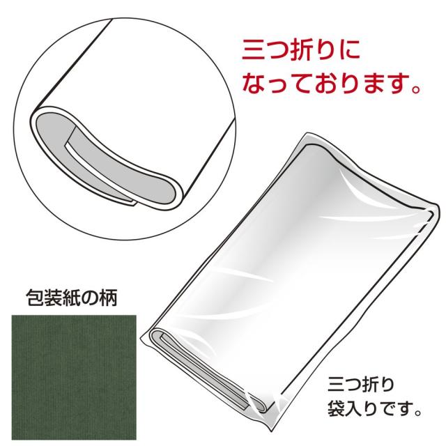 （まとめ買い）ササガワ 包装紙 無地柄 エメラルド ハトロン半才判 50枚入 49-9122 〔×3〕 【北海道・沖縄・離島配送不可】_2