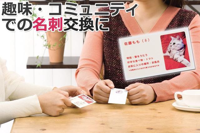 （まとめ買い）エーワン マルチカード 名刺 両面クリアエッジ ちょっぴり厚め 3000枚分 51893 〔×3〕 【北海道・沖縄・離島配送不可】_4