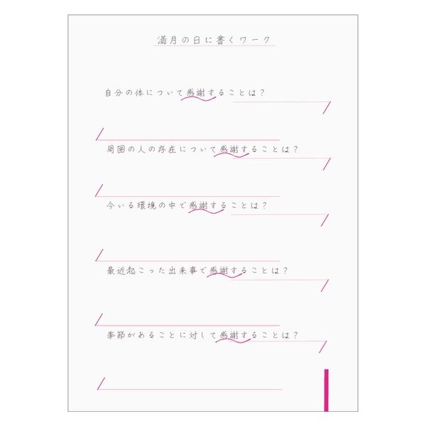 （まとめ買い）ダイゴー 本当のわたしに出会える me more手帳 A5 ホワイト R4134 〔3冊セット〕 【北海道・沖縄・離島配送不可】_4