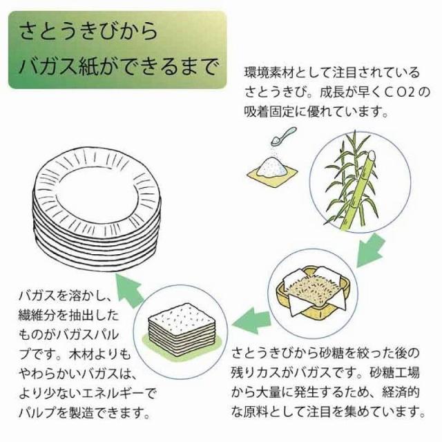 （まとめ買い）シモジマ HEIKO 紙皿 業務用バガスカレー皿 NCP230 50枚 食品容器 004477050 〔×3〕 【北海道・沖縄・離島配送不可】_3