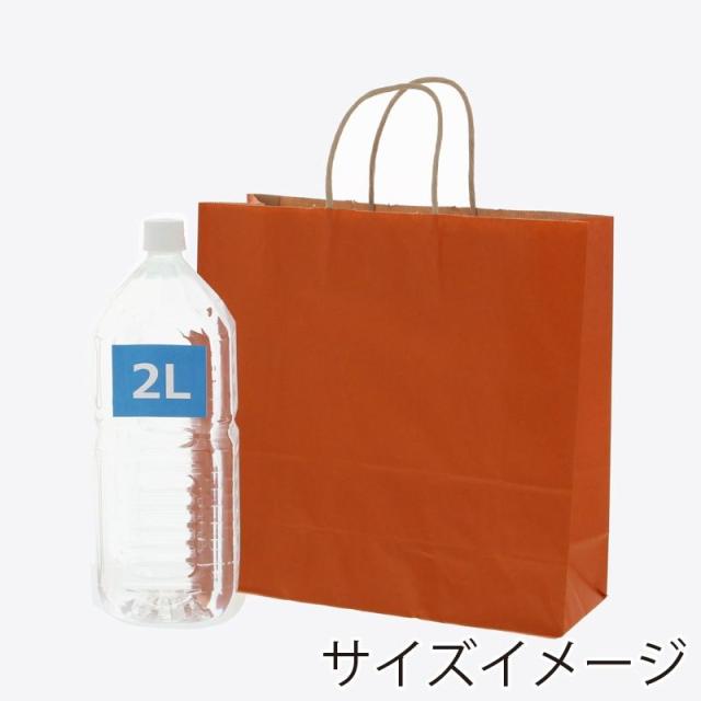 まとめ買い）シモジマ HEIKO 手提げ紙袋 25チャームバッグ 25CB 3才 未