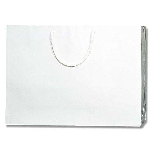 （まとめ買い）シモジマ HEIKO 手提げ紙袋 ブライトバッグ Y2 白 10枚 幅450×マチ120×高330mm 006138123 〔×3〕 【北海道・沖縄・離島配送不可】