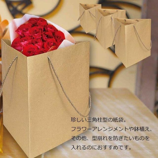 （まとめ買い）シモジマ HEIKO 手提げ紙袋 トライバッグ 未晒 NO.2 10枚 一辺の幅280×高さ280mm 006443101 〔×3〕 【北海道・沖縄・離島配送不可】_3