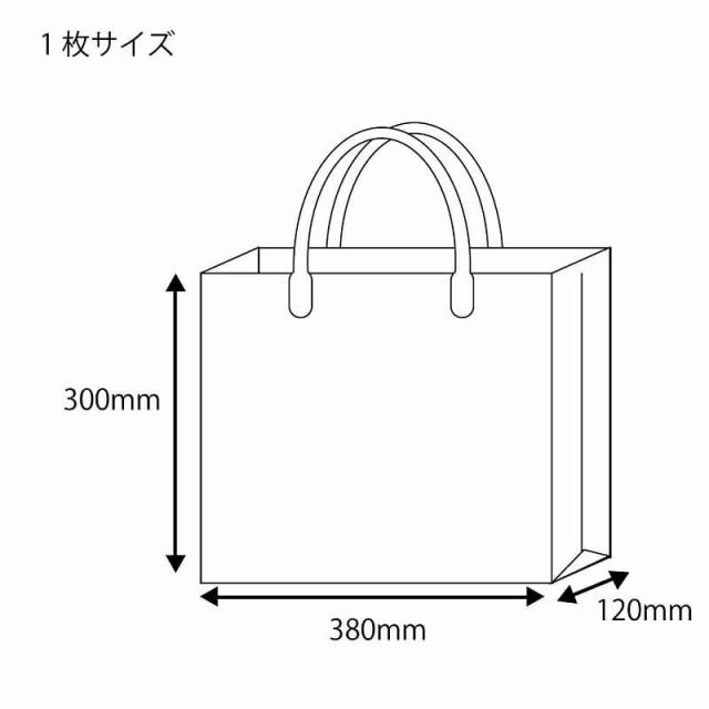 （まとめ買い）シモジマ HEIKO 透明バッグ ハッピータック付L 10枚 巾380×マチ120×高300mm 手提げ袋 006464050 〔×3〕 【北海道・沖縄・離島配送不可】_1