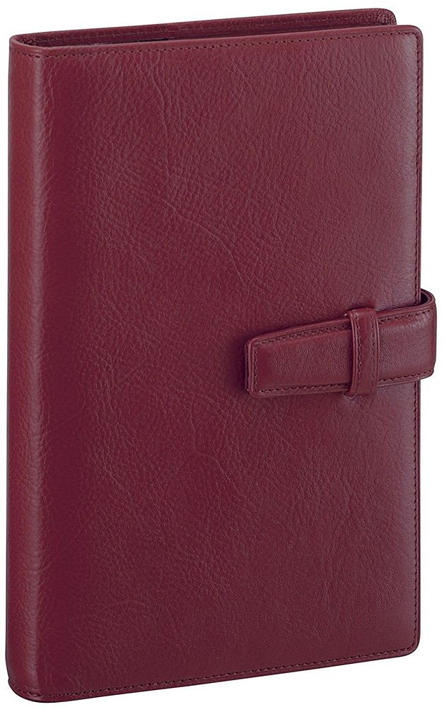（まとめ買い）レイメイ藤井 ダヴィンチ スタンダード システム手帳 聖書 ワイン DB3006Z 〔3冊セット〕 【北海道・沖縄・離島配送不可】