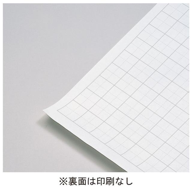 （まとめ買い）マルアイ マス目模造紙 プルタイプ クリーム 50枚 マ-51C 〔×3〕 【北海道・沖縄・離島配送不可】_4