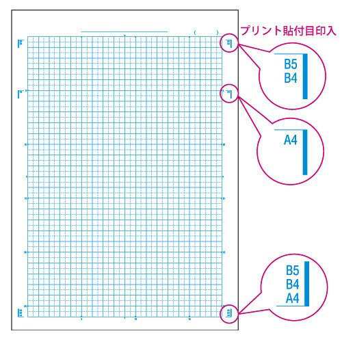 まとめ買い キョクトウ カレッジアニマル 学習帳 A4 5mm方眼ノート