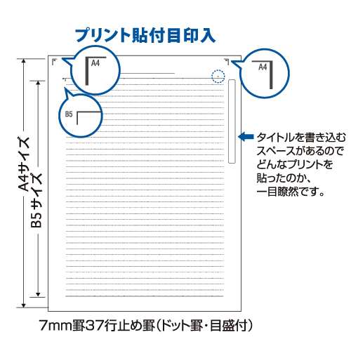 キョクトウ A4ワイドカレッジノート ブルー Clw2の通販はau Pay