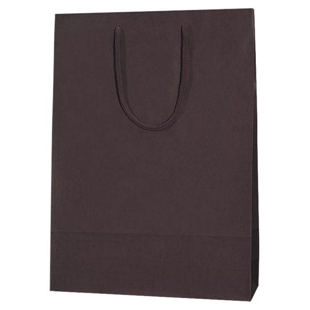 （まとめ買い）ヘイコー 紙袋 手提げ袋 カラーチャームバッグ 2才 33x10x45cm ブラウン 10枚 5310115 〔×3〕の通販は