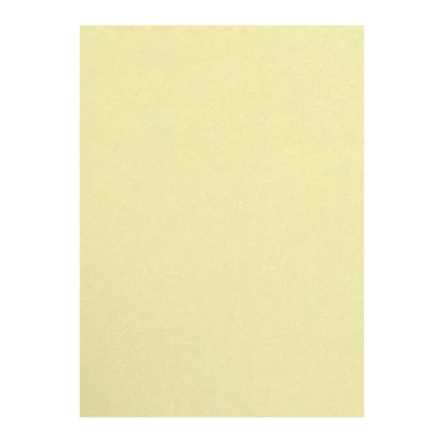 （まとめ買い）リンテック 色画用紙 ニューカラー 4切判 392×542mm 100枚 クリーム GO4NCR-101 〔3冊セット〕 【北海道・沖縄・離島配送不可】