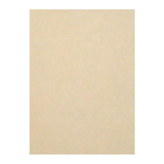 （まとめ買い）リンテック 色画用紙 ニューカラー 4切判 392×542mm 100枚 しらちゃ GO4NCR-111 〔3冊セット〕 【北海道・沖縄・離島配送不可】