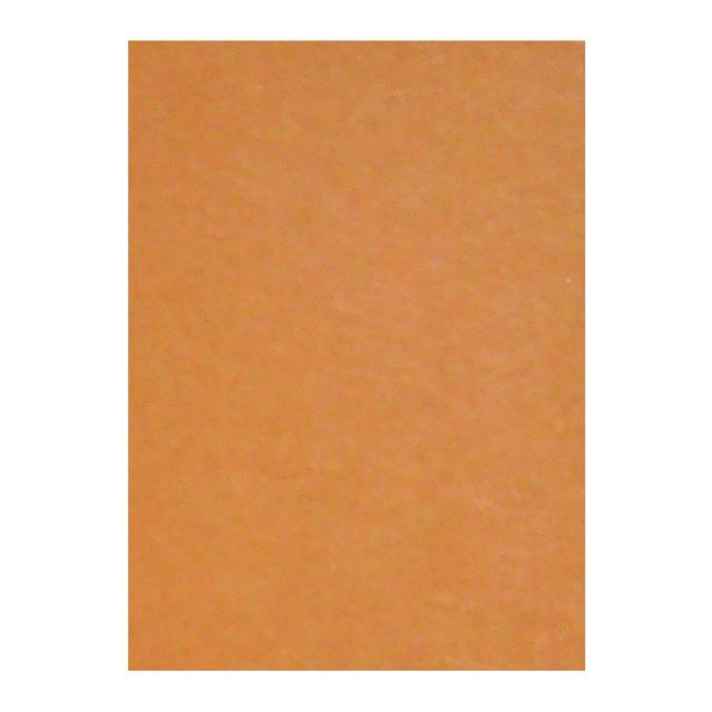 リンテック 色画用紙 ニューカラー 4切判 392×542mm 100枚 むらさき GO4NCR-241 リンテック 色画用紙 ニューカラー 4切判 392×542mm 100枚 うすちゃ