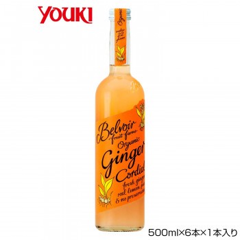 YOUKI ユウキ食品 業務用 有機コーディアル ジンジャー 500ml×6本×1本入り 212951 【北海道・沖縄・離島配送不可】