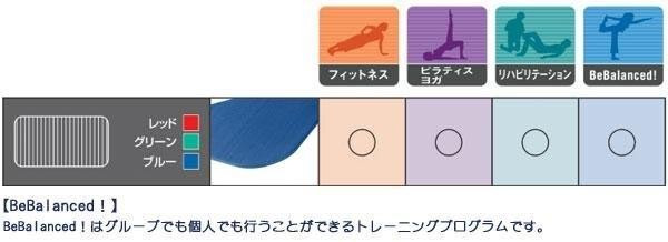 AIREX(R) エアレックス マット　トレーニングマット(波形パターン)　コロネラ　185×60×1.5cm　AMF-320R・レッド 【北海道・沖縄・離島配送不可】