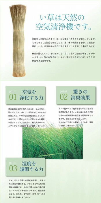 純国産 掛川織 い草ラグカーペット 『松川』 ベージュ 江戸間3畳(約174×261cm) 4407103 【北海道・沖縄・離島配送不可】_4