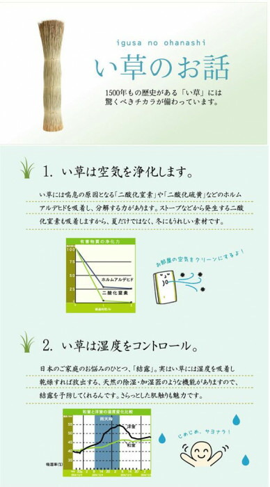 国産 い草ラグカーペット 『DXオーディーン』 グリーン 約191×191cm 1711970 【北海道・沖縄・離島配送不可】_6