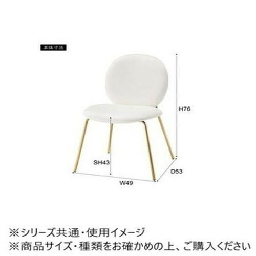 東谷 女性議長 薄墨色 MYS-202GY 【北海道・沖縄・離島送りとどける不可】