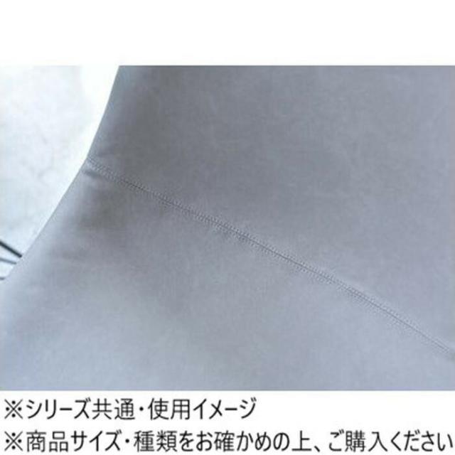 東谷 女性議長 ともし火薄墨色 マイコン-988LGY 【北海道・沖縄・離島送りとどける不可】