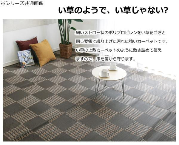 洗える PPカーペット 『ウィード』 ネイビー 本間4.5畳(約286.5×286cm) 2121514 【北海道・沖縄・離島配送不可】_1