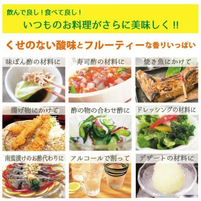 柑橘習慣 500ml ×12本セット 【北海道・沖縄・離島配送不可】_2