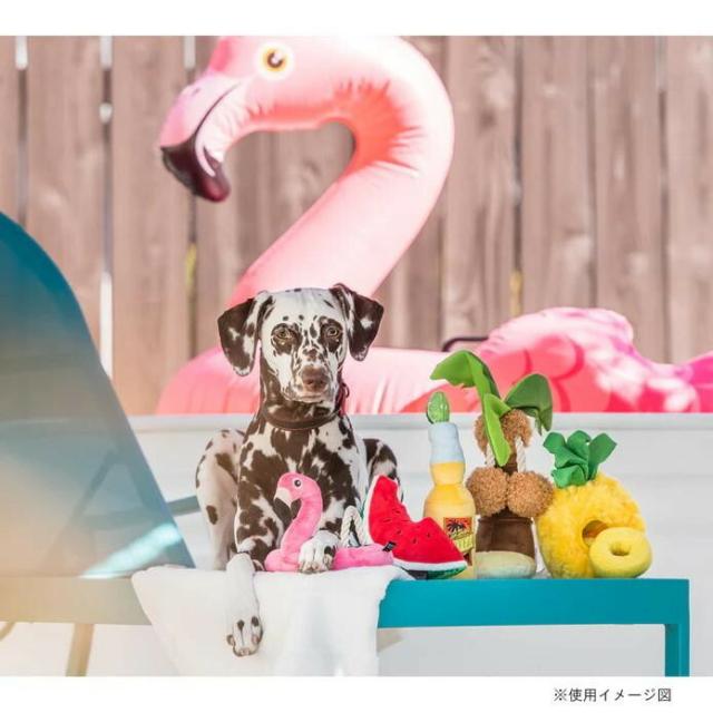 P.L.A.Y. トロピカルパラダイス BOXセット 【北海道・沖縄・離島配送不可】_2
