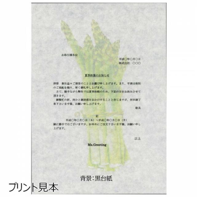 和紙のイシカワ ミズ・グリーティング A3判 50枚入 10袋 WP-1400K-10P 【北海道・沖縄・離島配送不可】_3