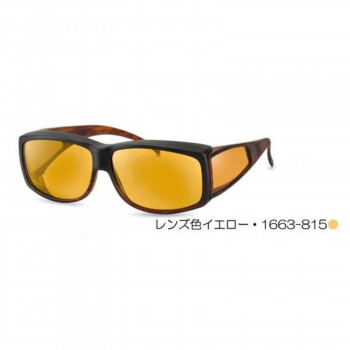 エッシェンバッハ　ウェルネス・プロテクト　オーバーサングラスタイプ　小　レンズ色イエロー・1663-815 【北海道・沖縄・離島配送不可】