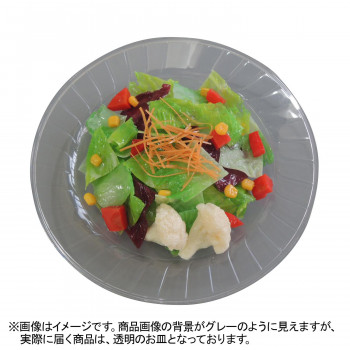 日本職人が作る　食品サンプル　サラダ　IP-543 【沖縄配送不可】