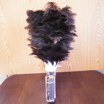 石塚羽毛 日本製 オーストリッチ ミニ毛ばたき G105 【北海道・沖縄・離島配送不可】 7,486円