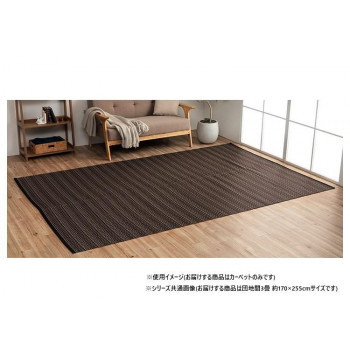 日本製 洗えるい草調カーペット ブラウン 団地間3畳 約170×255cm 1090031060302 【北海道・沖縄・離島配送不可】
