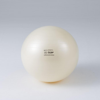 DANNO(ダンノ) フィットボール65 D5921 【北海道・沖縄・離島配送不可】