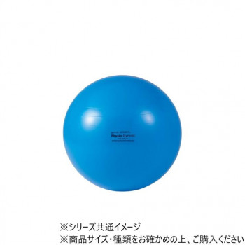 ダンノ(DANNO) ギムニク　カラーボール　95　D5435 【北海道・沖縄・離島配送不可】