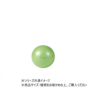 ダンノ(DANNO) ギムニクカラーボールPLUS　55(ライムグリーン)　D5421LMG 【北海道・沖縄・離島配送不可】