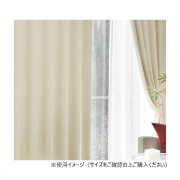 カーテン アール 2P 100X225 BE 725858000225065 【北海道・沖縄・離島配送不可】