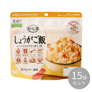 アルファー食品 安心米 しょうがご飯(玄米入り)100g ×15袋 114216621 【北海道・沖縄・離島配送不可】