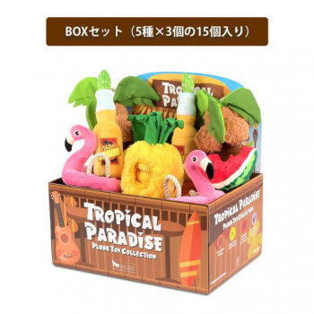 P.L.A.Y. トロピカルパラダイス BOXセット 【北海道・沖縄・離島配送不可】