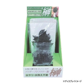 お供え用(仏花)　プリザーブド榊　販売用ケースセット　グリーン　H80040 【北海道・沖縄・離島配送不可】