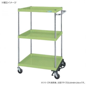 サカエ CSパールワゴン中量タイプ フットブレーキ付 グリーン CSP-12123BRNU 【北海道・沖縄・離島配送不可】