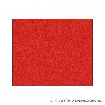 (クリーンテックス) スタンダードマットS レッド 60×90 cm 【北海道・沖縄・離島配送不可】