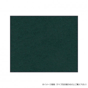 (クリーンテックス) スタンダードマットS ダーク・グリーン 60×90 cm 【北海道・沖縄・離島配送不可】