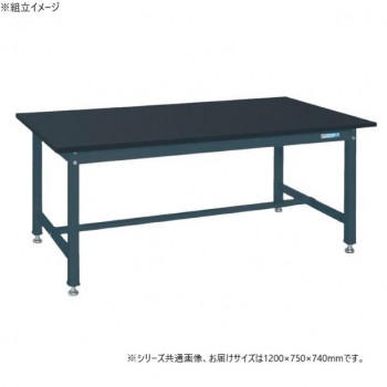 サカエ 中量作業台KTタイプ 抗菌加工 ダークグレー 特殊アクリル 1200×750×740mm KT-493CHCD 【北海道・沖縄・離島配送不可】 57,640円