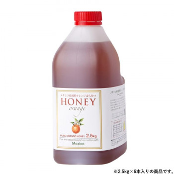 クインビーガーデン メキシコ産純粋オレンジはちみつ 2.5kg×6本 【北海道・沖縄・離島配送不可】