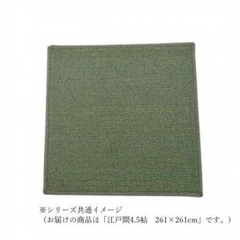 マカロンループ ループパイルカーペット 防ダニ抗菌防炎・床暖対応 グリーン 江戸間4.5帖 261×261 【北海道・沖縄・離島配送不可】 17,500円