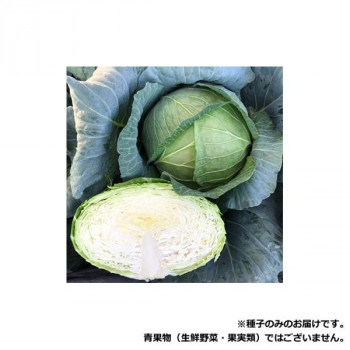 小林種苗 キャベツ種子 藍王 6600 20ml 【北海道・沖縄・離島配送不可】 6,323円
