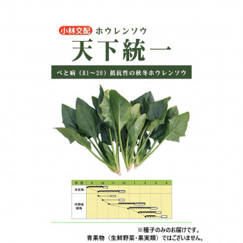 小林種苗 ホウレンソウ種子 天下統一 7237 M 3万粒 【北海道・沖縄・離島配送不可】 7,341円